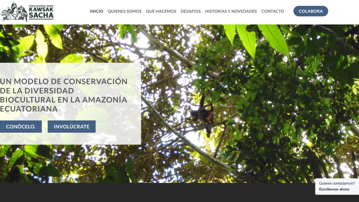 Portada de web Pueblo Ancestral Kichwa Kawsak Sacha