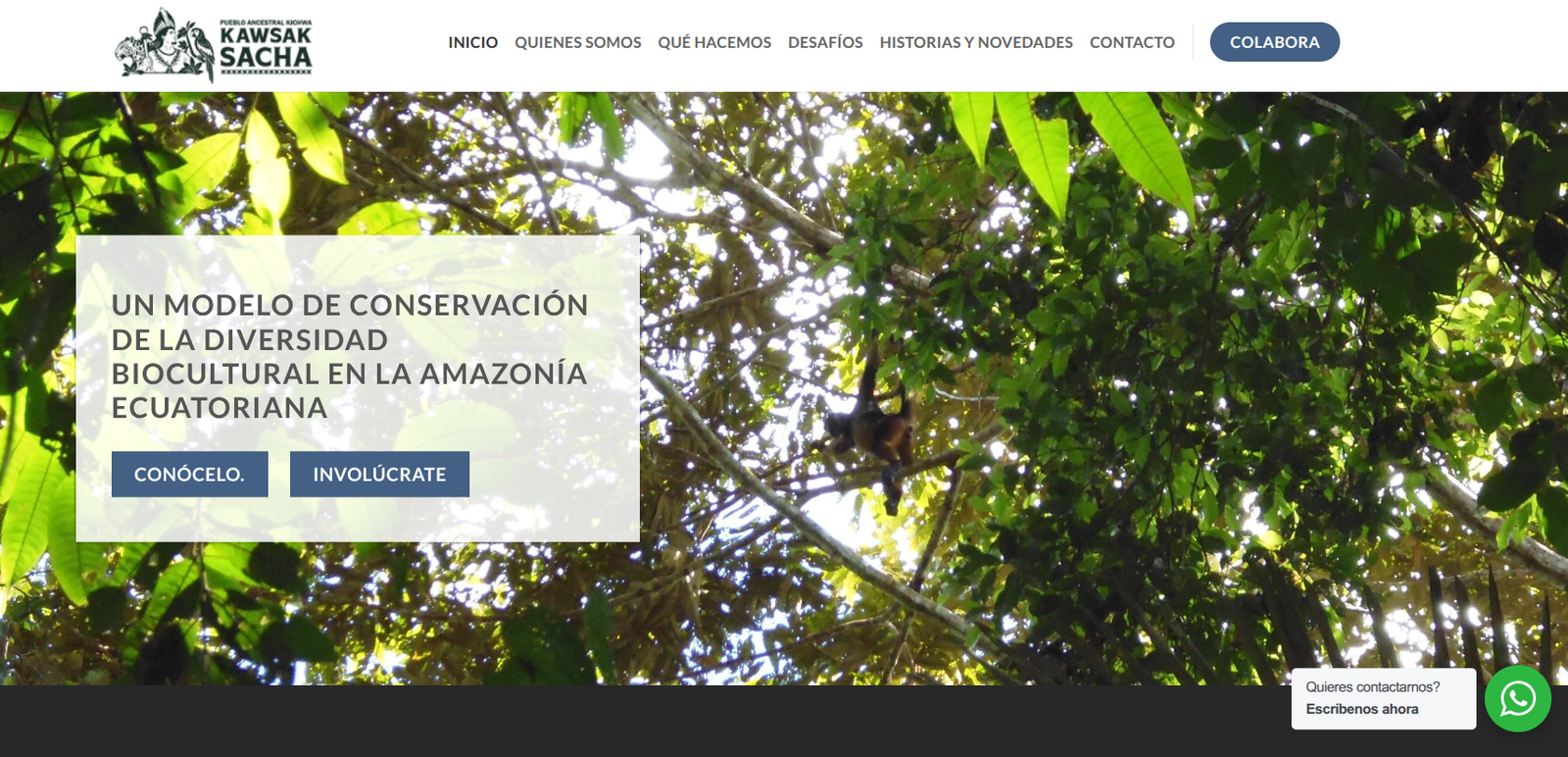 Portada de web Pueblo Ancestral Kichwa Kawsak Sacha